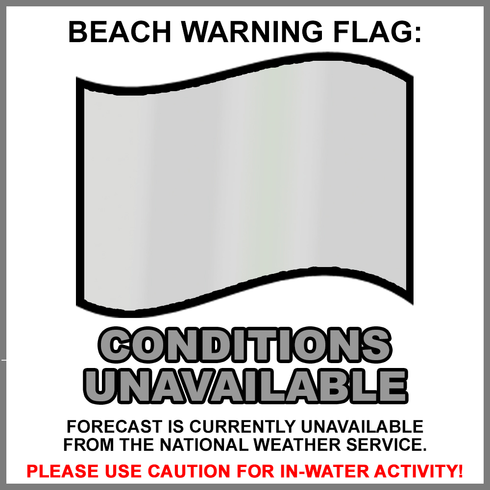 GRAY Flag Website Graphic