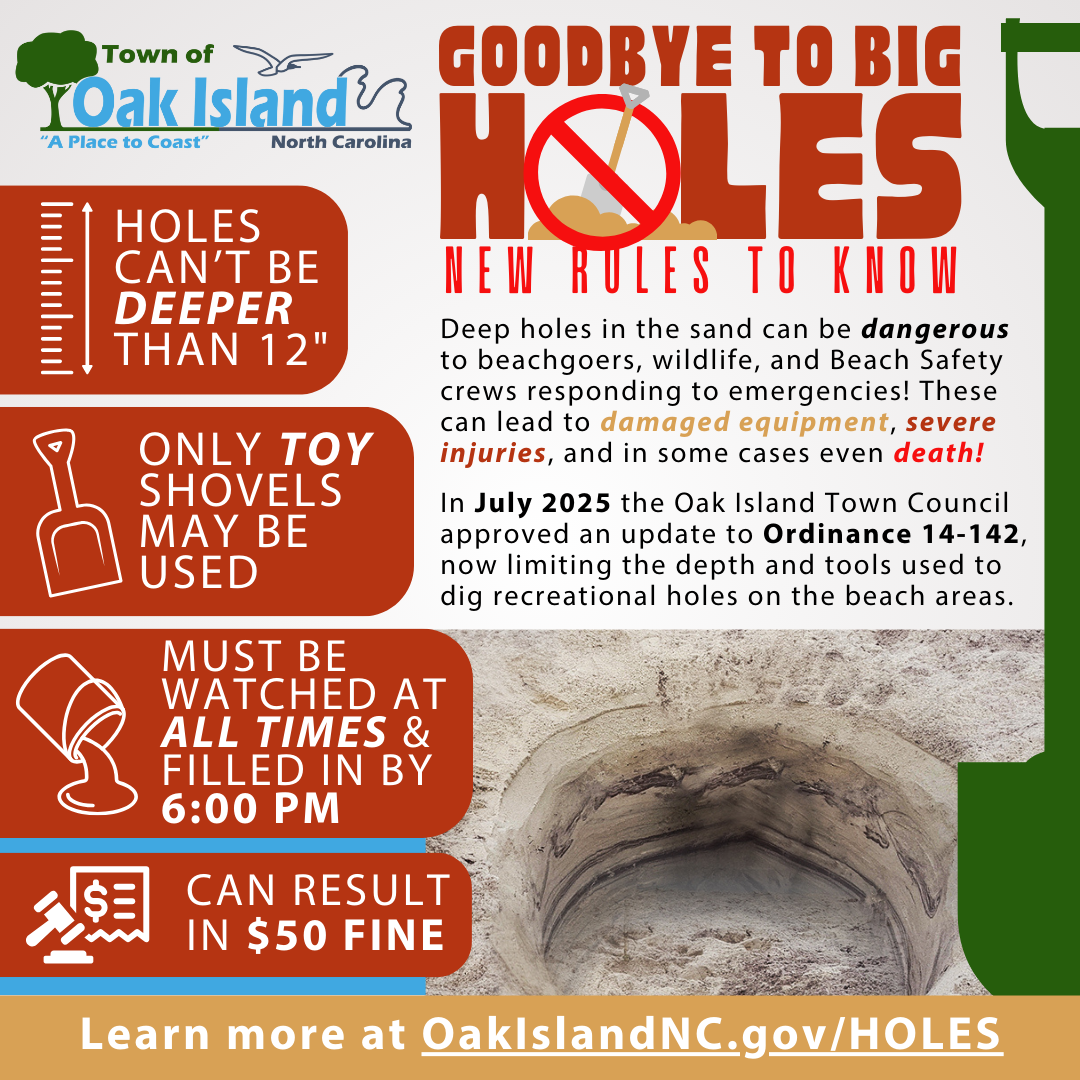 Goodbye To Big Holes PSA